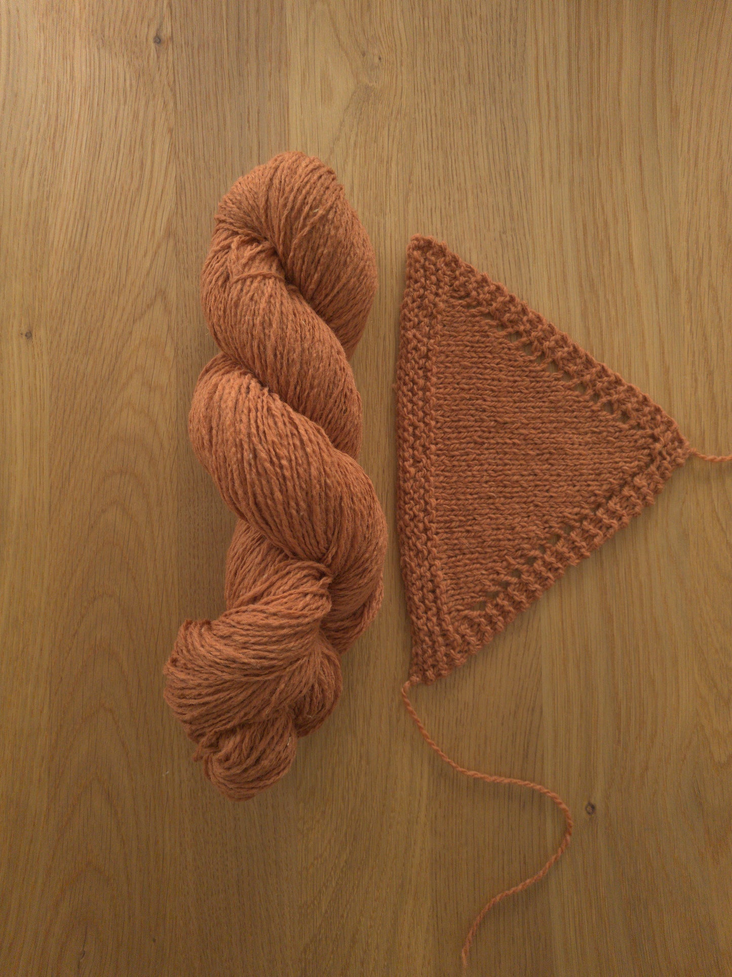 SCHUR PUR DK - Zimmt